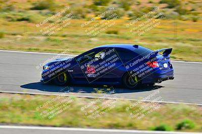 media/Apr-06-2024-Extreme Speed (Sat) [[3431b70655]]/Green-mid int/Session 1-The Bowl/